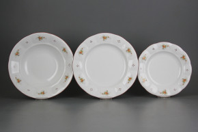 Plate set Benedikt Tea roses 12-piece H4T AHL