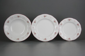 Plate set Benedikt Pink roses 12-piece R4T ARL