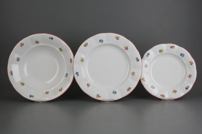 Plate set Benedikt Flower sprays 12-piece ACL č.1